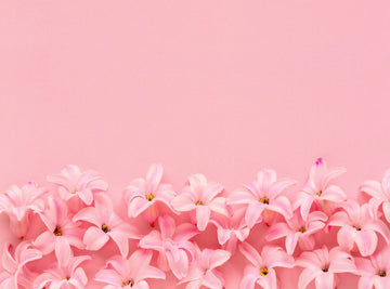 Spring Scenery Background Hyacinth Pink Surprise Dutch Hyacinth Photography Backdrop IBD-20078 - iBACKDROP-Dutch Hyacinth, For Photography, Natural Backdrop, photo backdrop, photo backdrop ideas, photography backdrops, Photography Background, Portrait Photography backdrops, Scenery Background, Spring Backdrop, Spring Backdrops, Sweet Pink backdrop